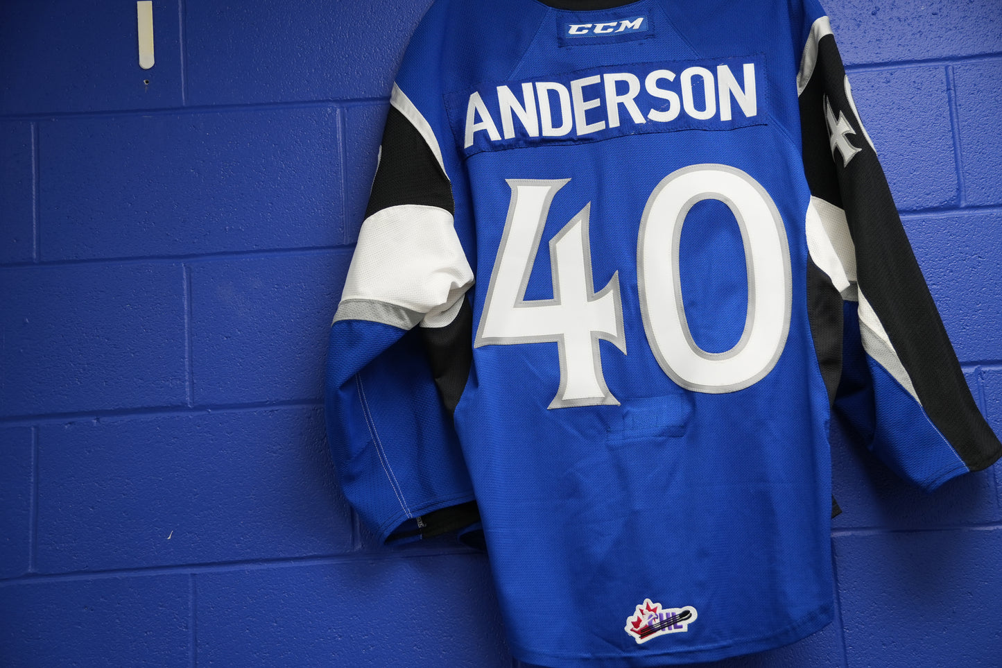 Game-Worn Jersey: #40 Anderson (Blue)