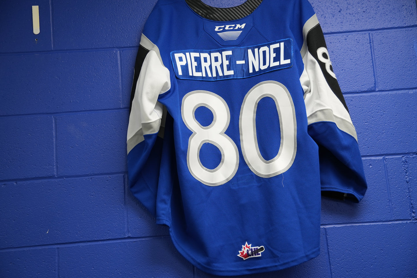 Game-Worn Jersey: #80 Pierre-Noel (blue)