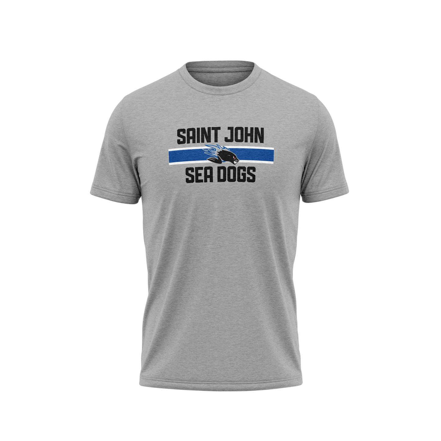 SJSD Youth T-Shirt - Grey
